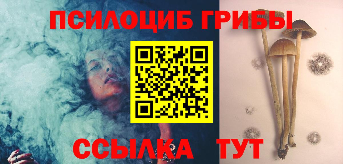как найти закладки  Вход с VPN  Великий Новгород  Галлюциногенные грибы MAGIC MUSHROOMS 